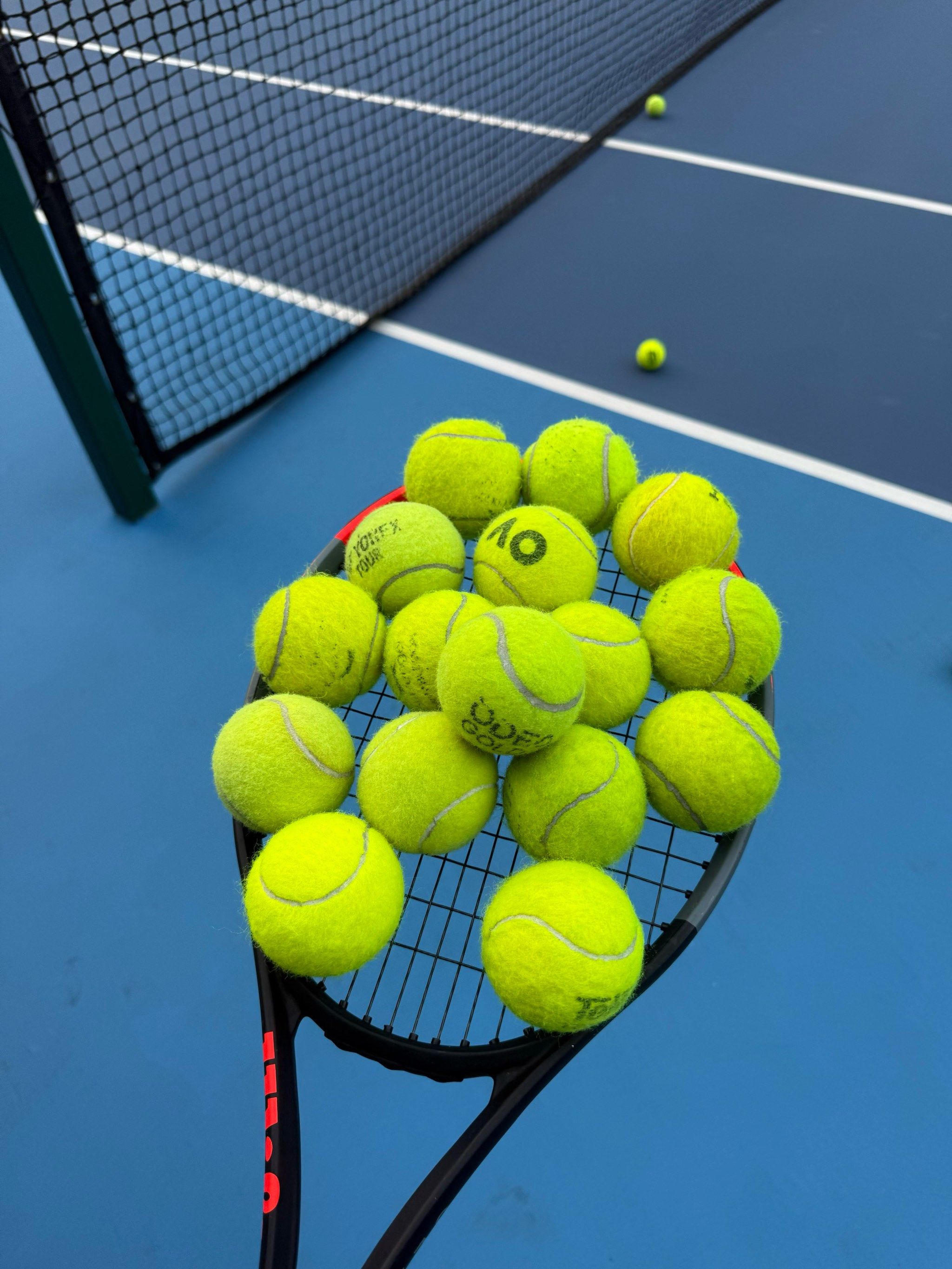 在体育竞技 在体育竞技